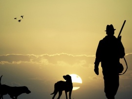 Охотничий инстинкт