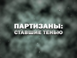 Партизаны: ставшие тенью