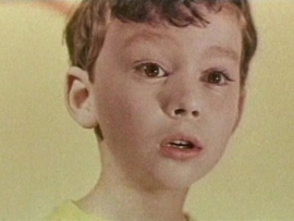 Полчаса на чудеса