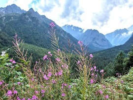 Скалолазка (6)