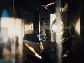 На поиски динозавров