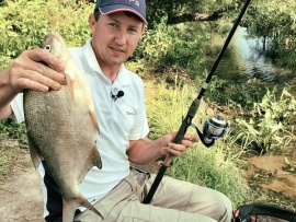 Настоящий фидер