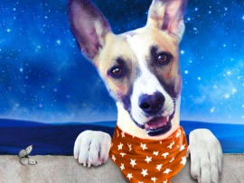 Невероятные приключения гампи