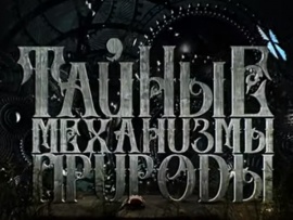 Тайные механизмы природы