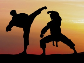 Карате. Чемпионат мира