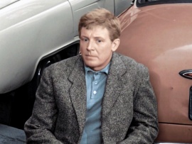 Берегись автомобиля