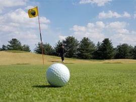 Гольф. Кубок Лиги Ставок. Финал. Трансляция из Пестово