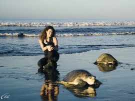 Удивительная Коста-Рика