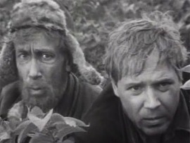 Волчья стая