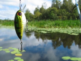 Рыболовы окраинного моря