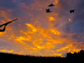 Мир стрелкового спорта