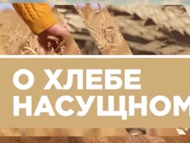 О хлебе насущном