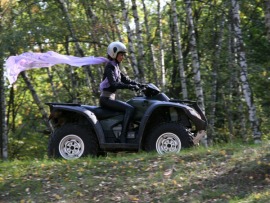 Пуля-дура-5. Изумрудное дело агента