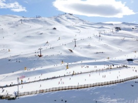 Снежная команда