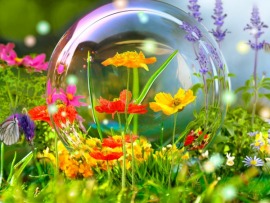 Книга сказок