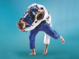 Дзюдо. Мировой тур. Турнир Большого шлема. Трансляция из Франции