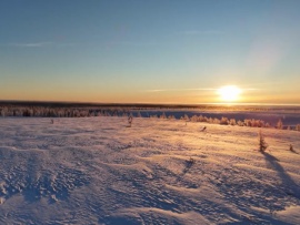 Жизнь своих