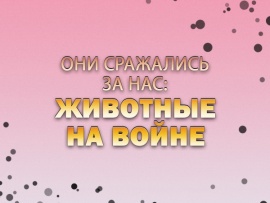 Они сражались за нас: животные на войне