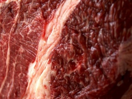 Можно ли питаться только мясом