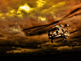 Битва за Родину