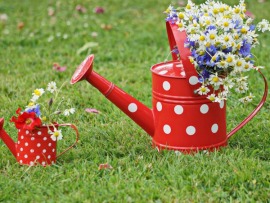 Ландшафтные решения