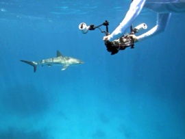 Подводный мир Эксумы