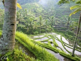 Бали: Остров огненных духов