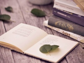 Время читать