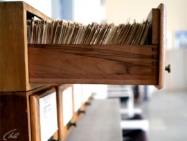 Законодательная власть