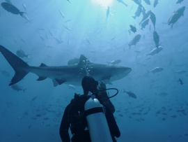 Вода и жизнь