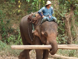 Рабы-гиганты