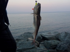 Речные кочевники