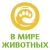 В мире животных