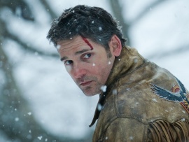 Чёрный дрозд