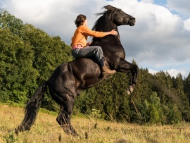 Восточный ветер-4: Легенда о Воине