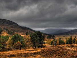 Гладиаторы