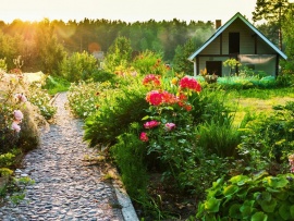 Хочу за город!