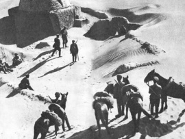 Тринадцать (2)