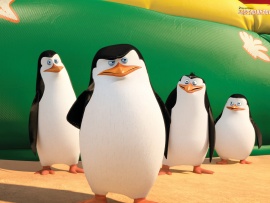 Мадагаскар пингвиндері