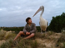 Мой друг мистер Персиваль