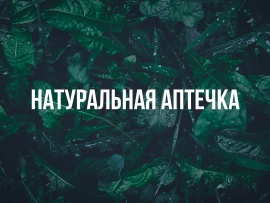 Натуральная аптечка