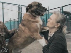 Аэропорт: бюро находок