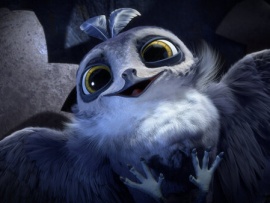 Птичий дозор (5)