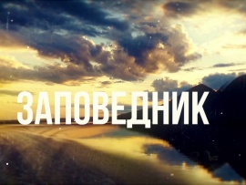 Заповедник