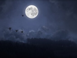 Отважный Бим и пернатые колокольчики (6)