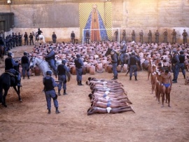 Карандиру (3)