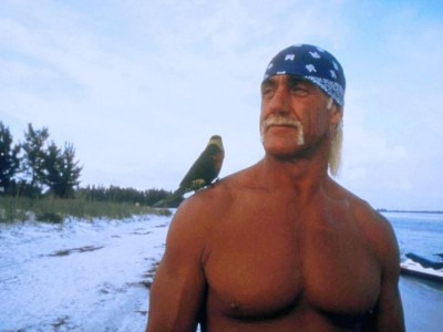 Остров МакКинси