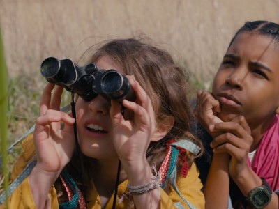 Загадка волшебного острова