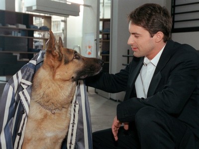 Комиссар Рекс