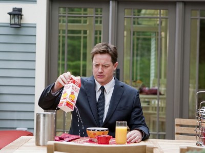 Месть пушистых